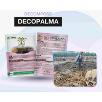 Decopalma