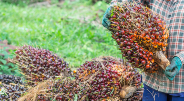 Screenshot 2025-09-19 094950