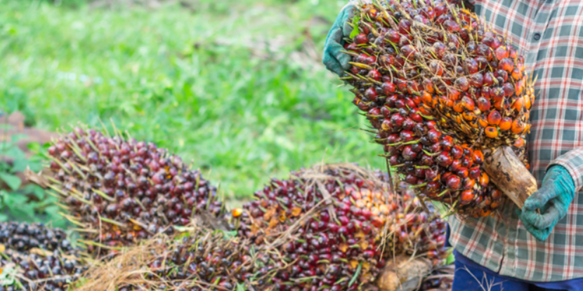 Screenshot 2025-09-19 094950