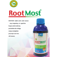 Root Most